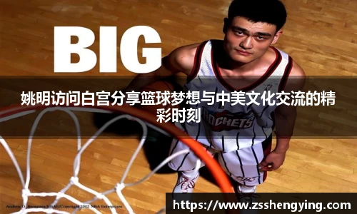 南宫NG28
